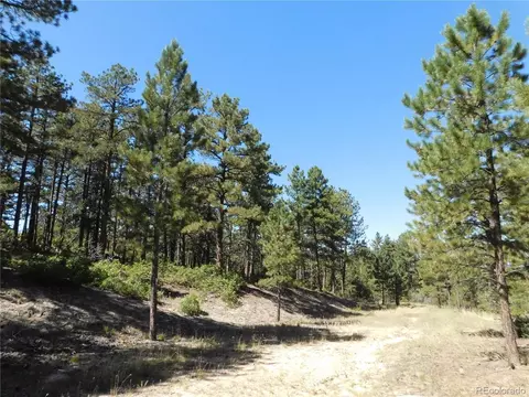 2380 Wood Sorrel Rd, Larkspur, CO 80118