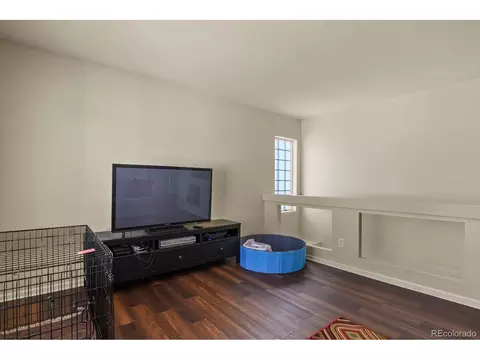 21567 E 55th Pl, Denver, CO 80249 photo 14
