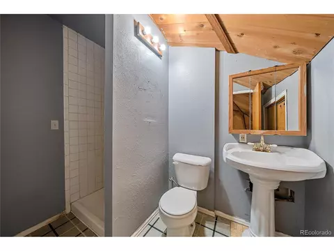 116 Bluebird Dr, Bailey, CO 80421 photo 9