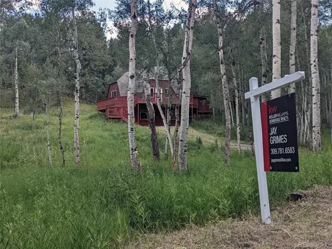 116 Bluebird Dr, Bailey, CO 80421 photo 12