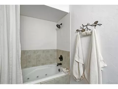 Bath - 33799 Warren Rd, Pine, CO 80470 photo 4 of 5