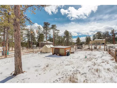 18 Mohawk Trl, Pine, CO 80470 photo 29
