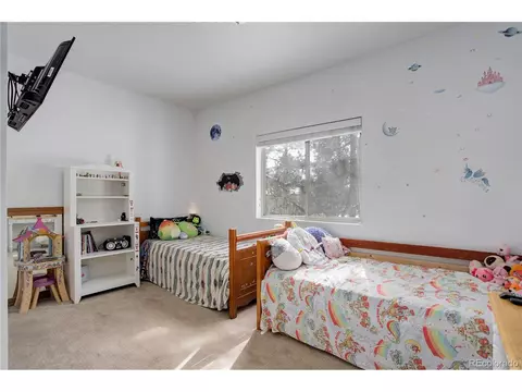 18 Mohawk Trl, Pine, CO 80470 photo 15