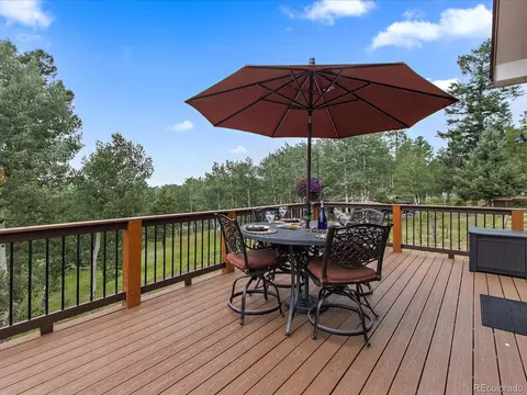 11033 Barker Ave, Conifer, CO 80433 photo 25
