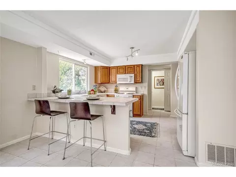 4061 Malta St, Denver, CO 80249 photo 12