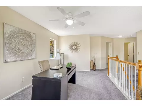4061 Malta St, Denver, CO 80249 photo 20