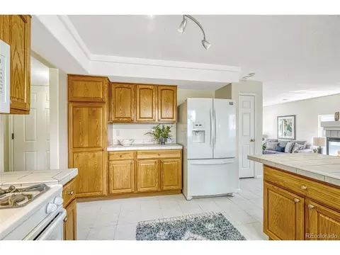 4061 Malta St, Denver, CO 80249 photo 15