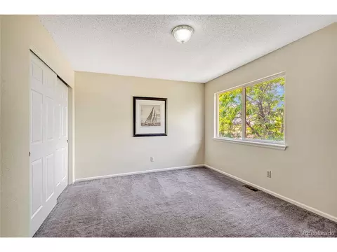 4061 Malta St, Denver, CO 80249 photo 21