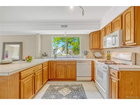 4061 Malta St, Denver, CO 80249 photo 13