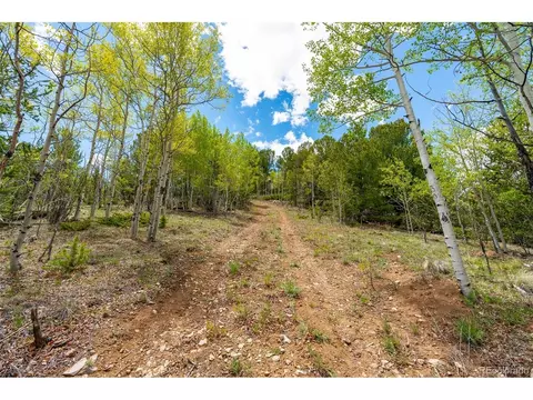 Other - 1023 Mexican Ridge Cir, Como, CO 80432 photo 8 of 16
