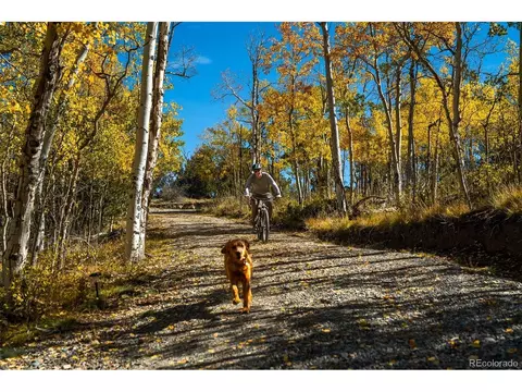 Other - 1023 Mexican Ridge Cir, Como, CO 80432 photo 9 of 16