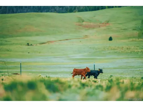 Undisclosed, Guffey, CO 80820 photo 40