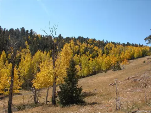 Undisclosed, Guffey, CO 80820 photo 24