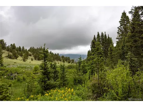 Undisclosed, Guffey, CO 80820 photo 9