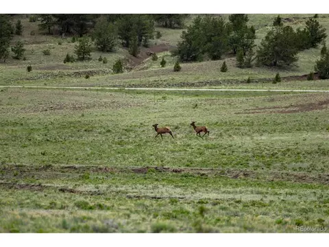 Undisclosed, Guffey, CO 80820 photo 41