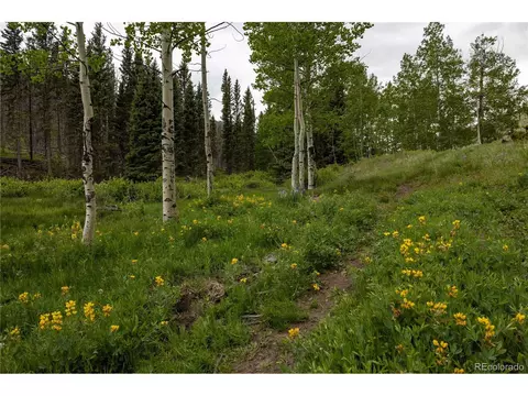 Undisclosed, Guffey, CO 80820 photo 13