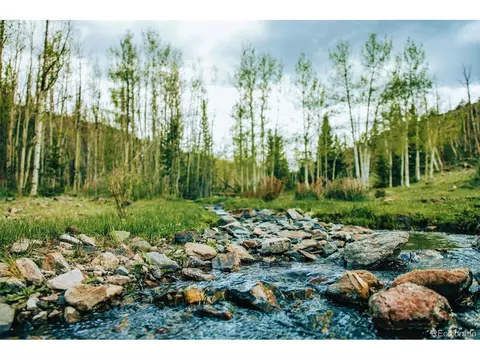 Undisclosed, Guffey, CO 80820 photo 6