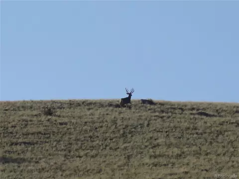 Undisclosed, Guffey, CO 80820 photo 42