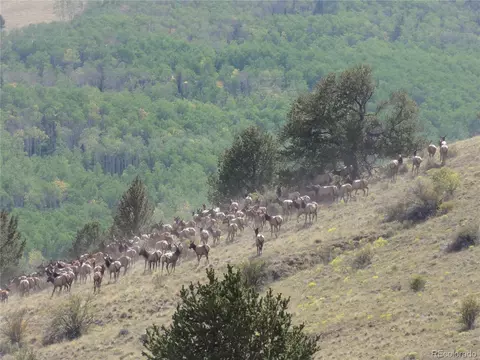Undisclosed, Guffey, CO 80820