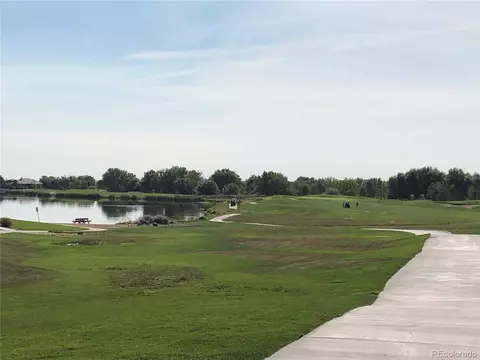 1966 Shadow Lake Dr, Windsor, CO 80550 photo 5