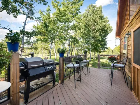 159 Pinion Rd, Bailey, CO 80421 photo 31