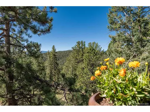 35631 Upper Aspen Ln, Pine, CO 80470 photo 24