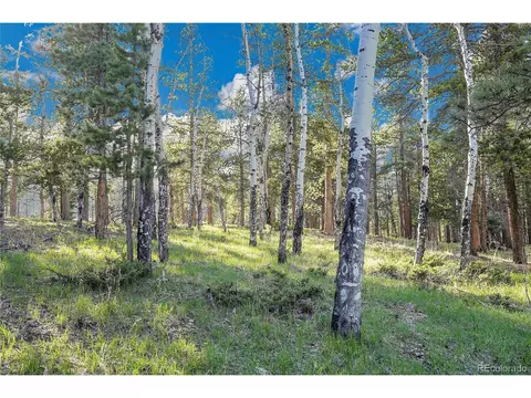Molly Dr, Conifer, CO 80433