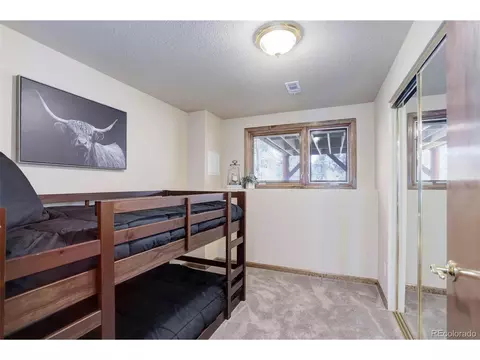 70 Frank Rd, Pine, CO 80470 photo 27
