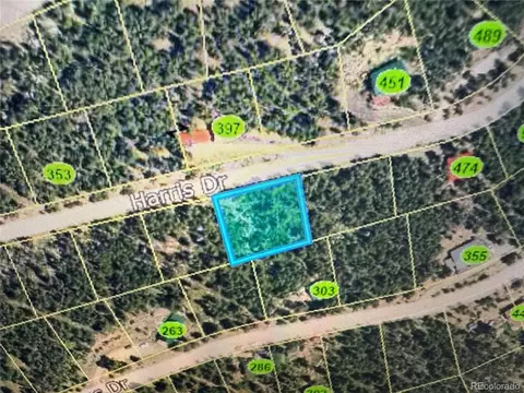 1010 Harris Dr, Idaho Springs, CO 80452