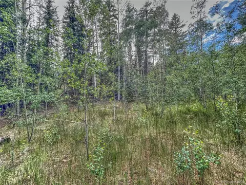58 Osprey Rd, Como, CO 80432 photo 3