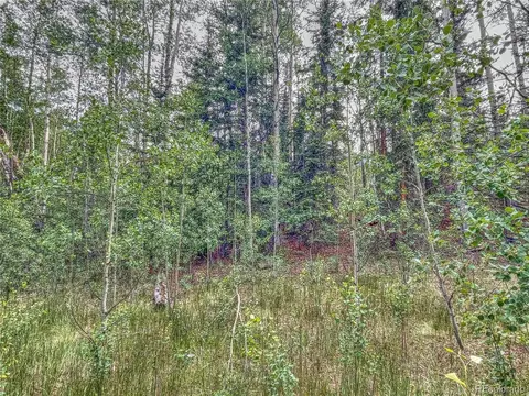 58 Osprey Rd, Como, CO 80432 photo 5