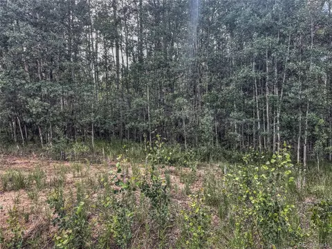 58 Osprey Rd, Como, CO 80432 photo 8