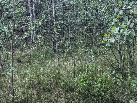 58 Osprey Rd, Como, CO 80432 photo 7