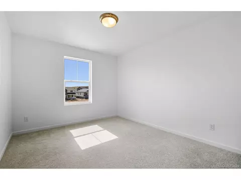 16937 W 92nd Dr, Arvada, CO 80007 photo 22