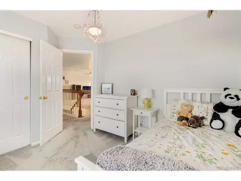 20916 E 39th Ave, Denver, CO 80249 photo 14