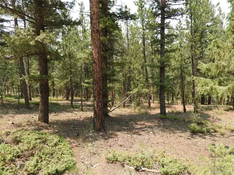 0 La Plata Ln, Pine, CO 80470 photo 14