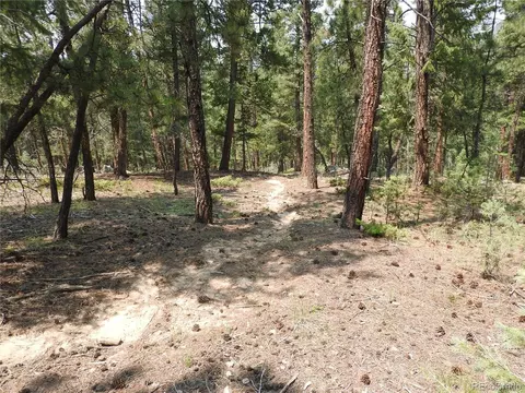 0 La Plata Ln, Pine, CO 80470 photo 17
