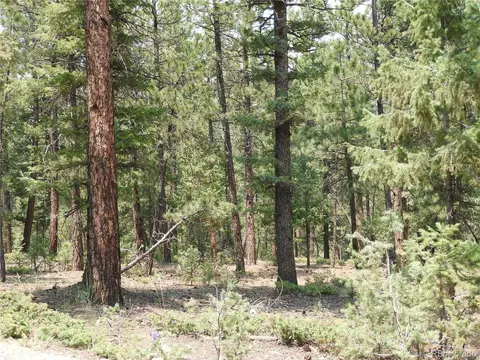 0 La Plata Ln, Pine, CO 80470