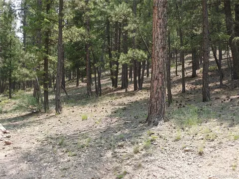 0 La Plata Ln, Pine, CO 80470 photo 10