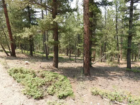 0 La Plata Ln, Pine, CO 80470 photo 15