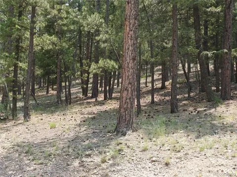 0 La Plata Ln, Pine, CO 80470 photo 11