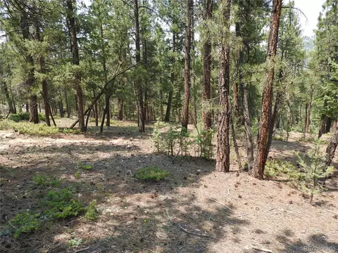 0 La Plata Ln, Pine, CO 80470 photo 16
