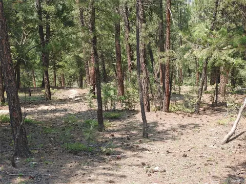 0 La Plata Ln, Pine, CO 80470 photo 13