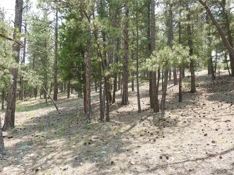 0 La Plata Ln, Pine, CO 80470 photo 3