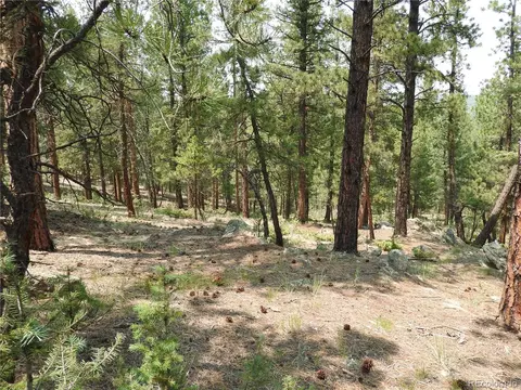 0 La Plata Ln, Pine, CO 80470 photo 22