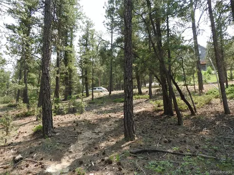 0 La Plata Ln, Pine, CO 80470 photo 19