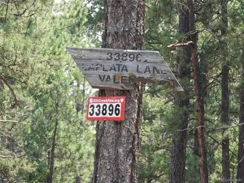 0 La Plata Ln, Pine, CO 80470 photo 26