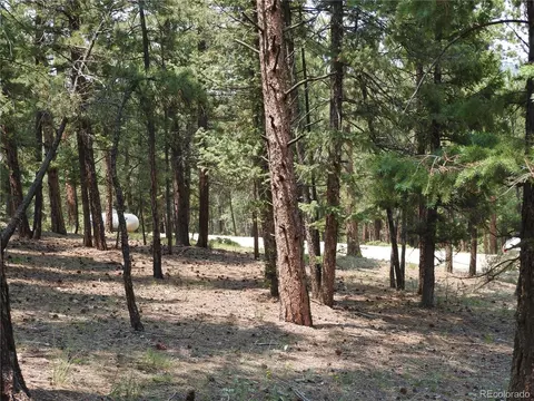 0 La Plata Ln, Pine, CO 80470 photo 6