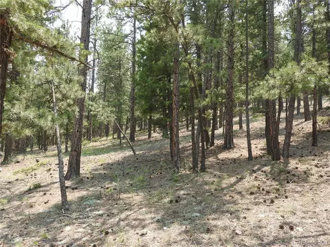 0 La Plata Ln, Pine, CO 80470 photo 4