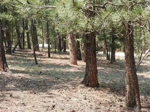 0 La Plata Ln, Pine, CO 80470 photo 8